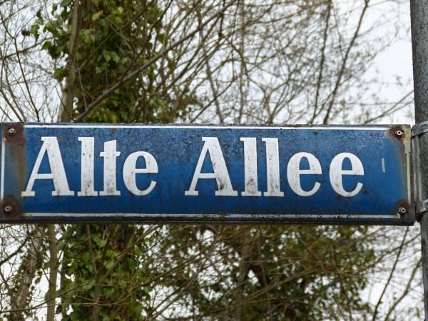 Alte Allee (1)