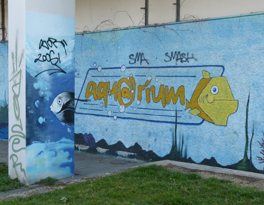 Foto Aquarium