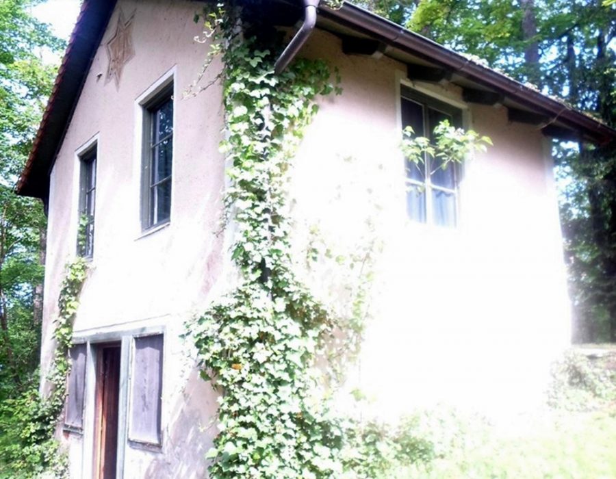 Stadtteilspaziergang_Würm_altes Wasserschloss 1
