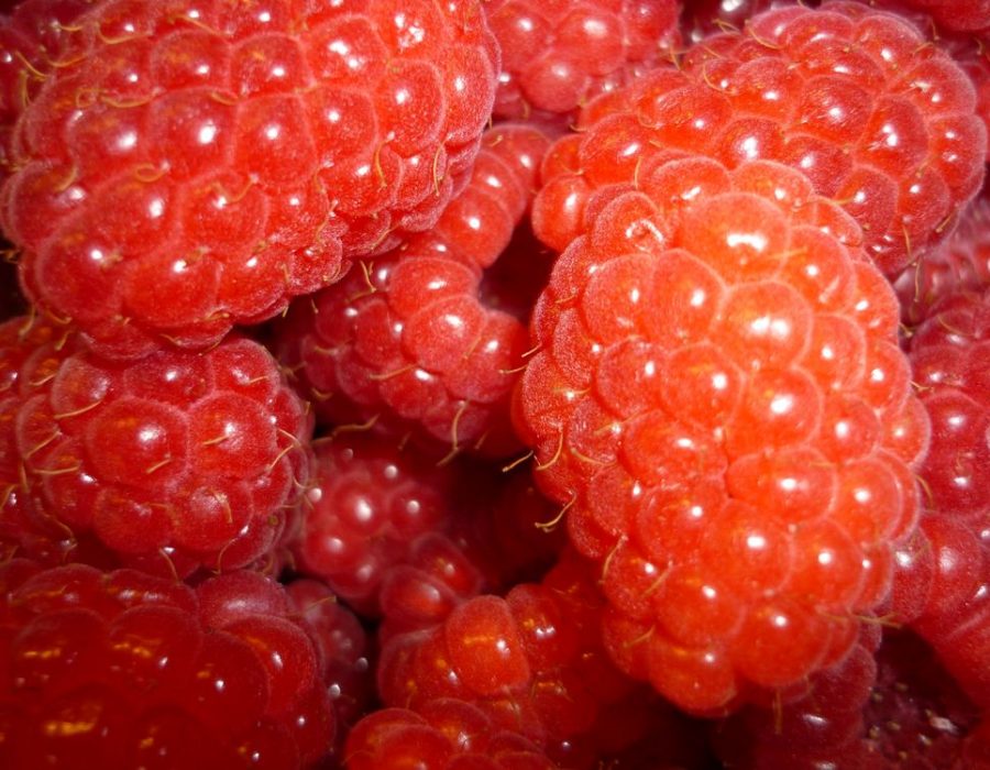 Viktualienmarkt Himbeeren
